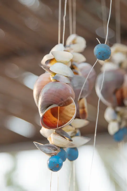 Detalle artesanal de conchas
