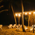 Lightbox-Coralina19